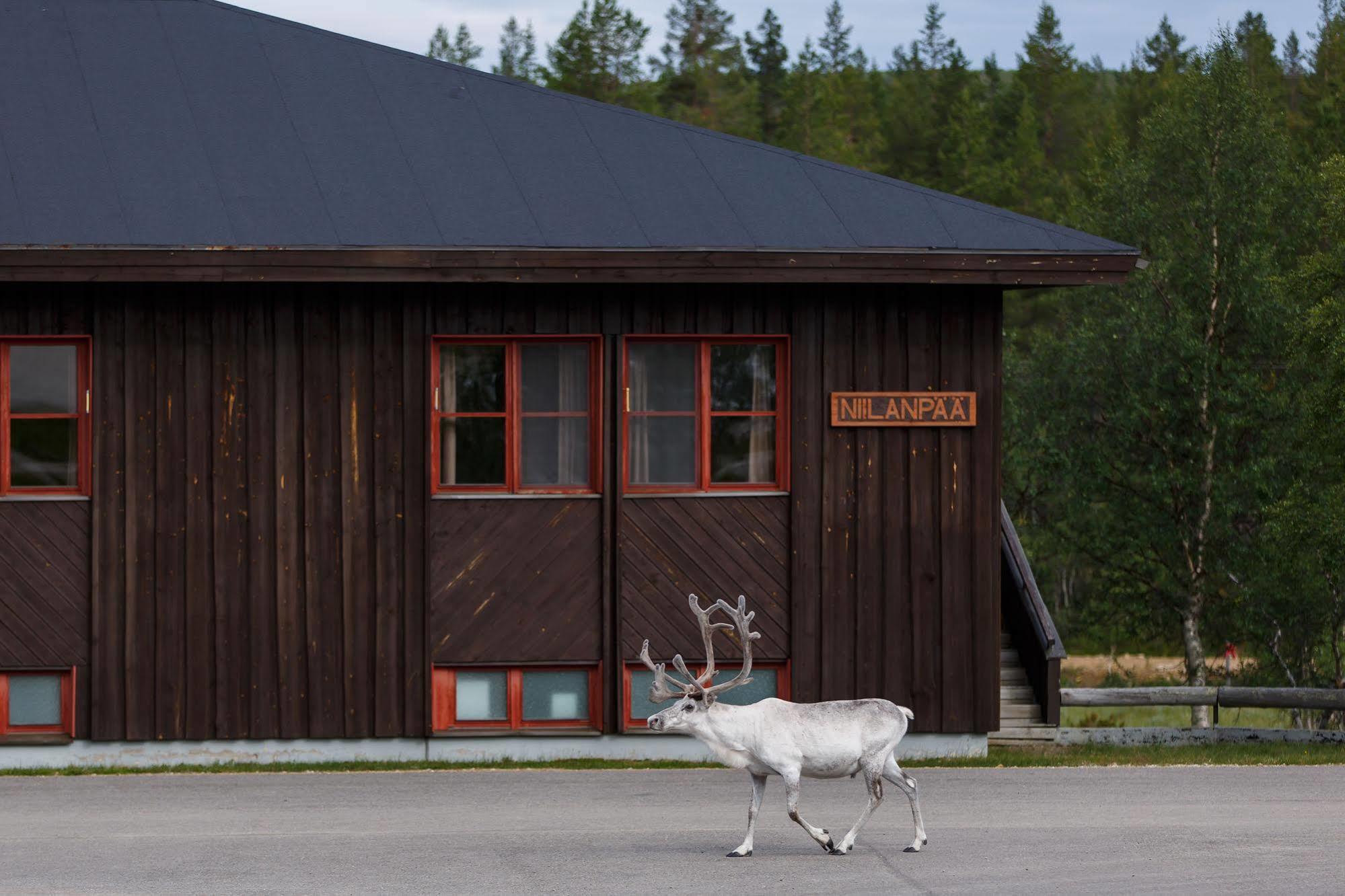 Fell Centre Kiilopaeae, Hotelli Niilanpaeae Saariselka Exterior foto